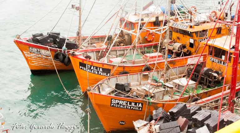 La Pesquería Industrial Como Actividad Económica De Caleta Olivia 6366