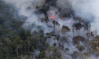 Crimen ambiental: siguen los incendios en el Amazonas